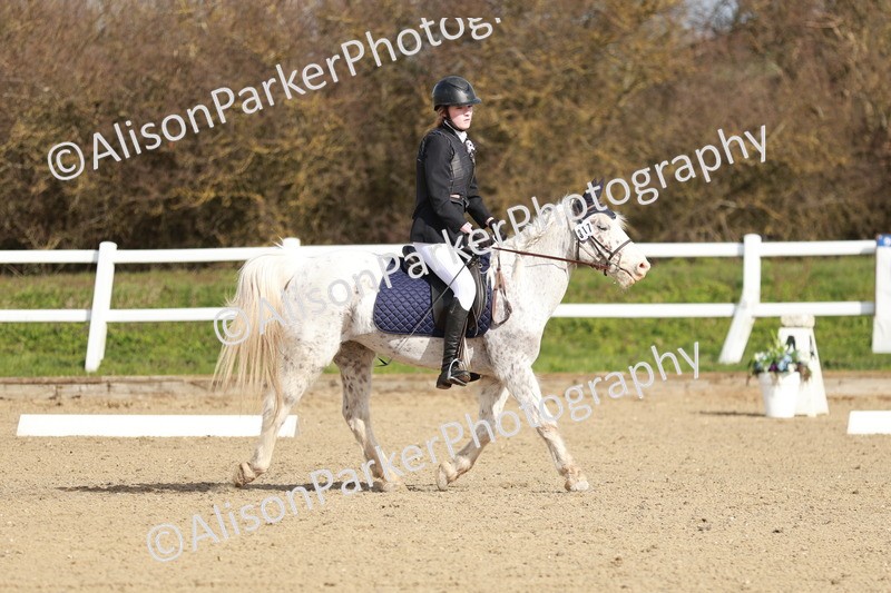 20260314-1123 - DR2 - Intro 3