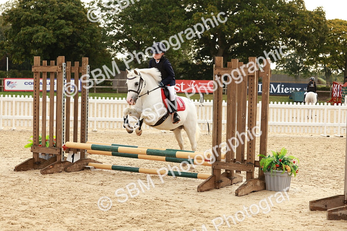 SBM_55762 - J11 - Junior Pony 50cm Championship