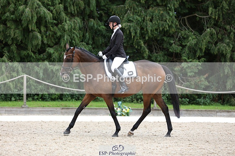 230813-153045-08092 - Cls 11 Elem Bronze 14.30 to End