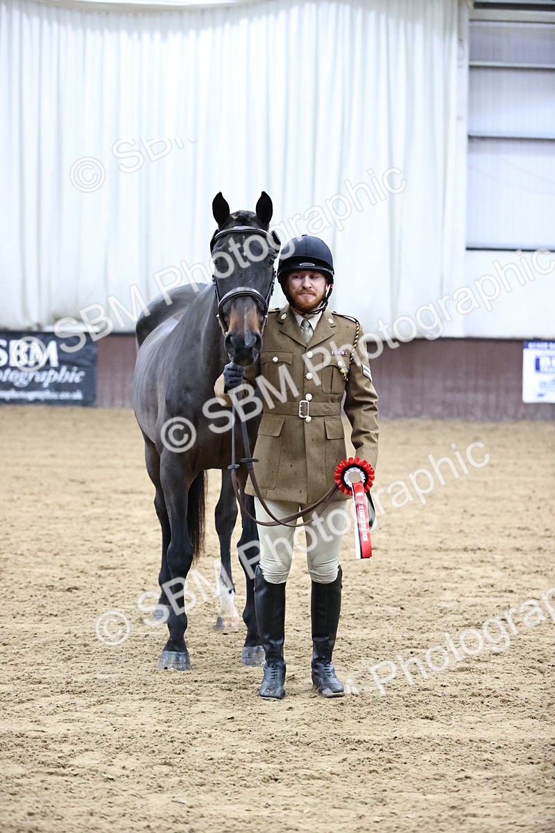 SBM_5223 - Class 39 - In Hand Gelding