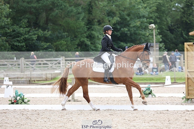 240524-154909-09985 - 367-CROSSTOWN_FINTANS_LAST-Catherine_Burrell