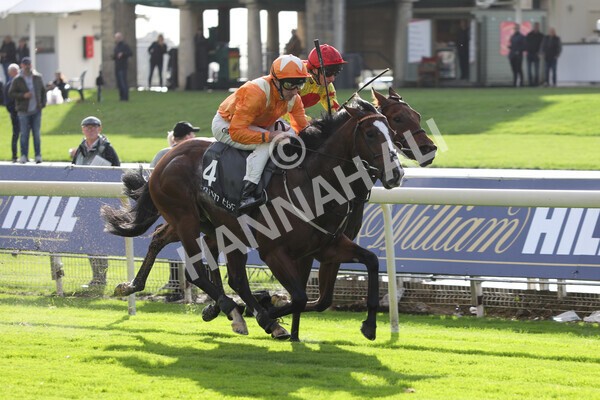 yr07102022r3-32 - Race 3 3.15pm British EBF £100,000 2yo Series Final (Colts and Geldings)