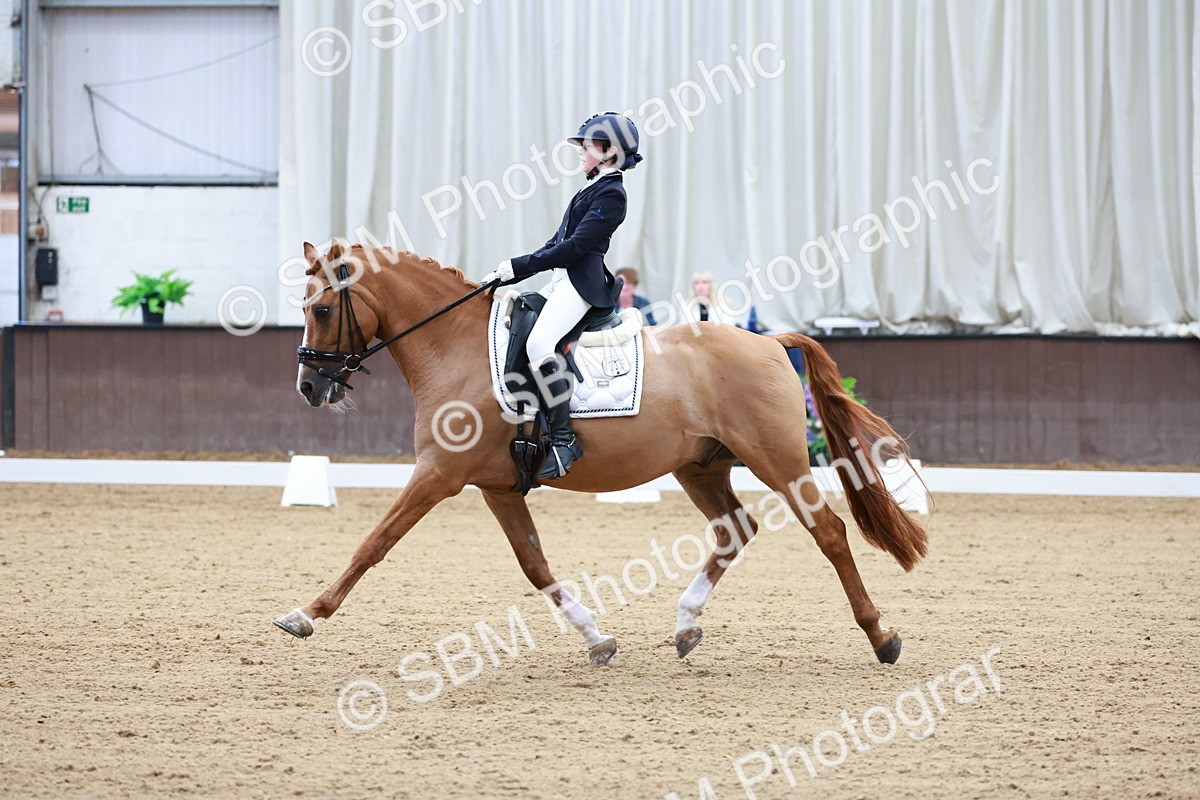 SBM_017076 - Class15 - FEI Pony