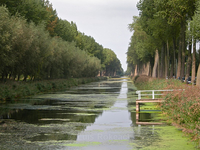  - Water Wood Earth