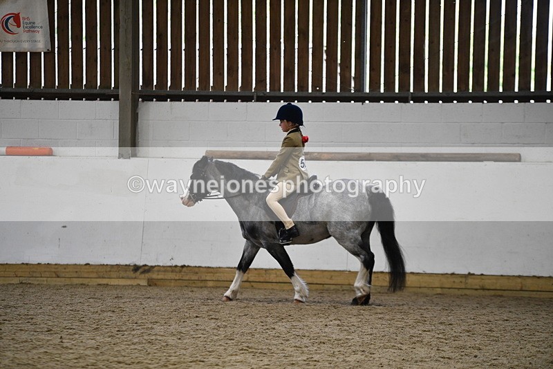 WJ5_6889 - Class 10 Childs Pony