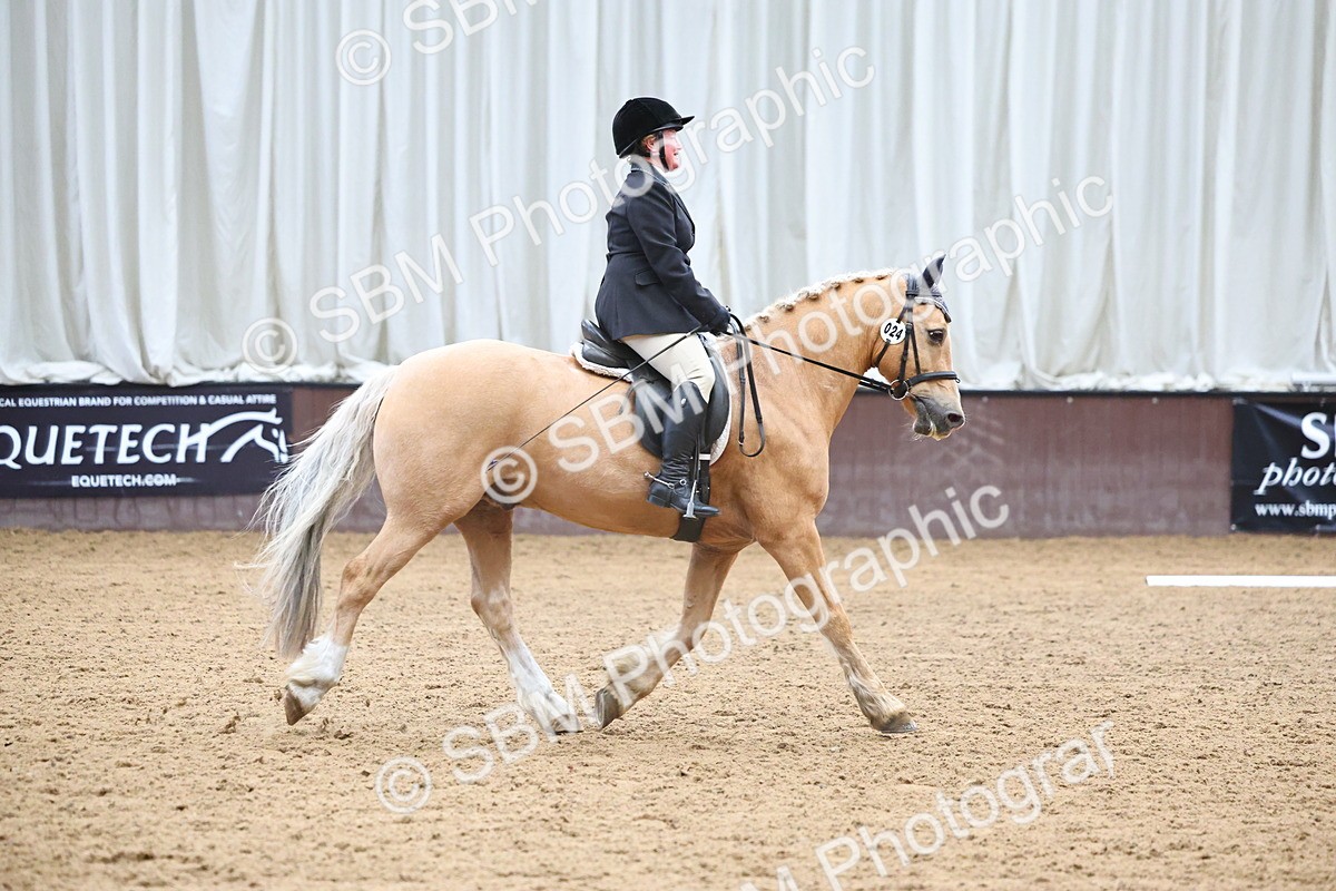 SBM_005389 - Class 3 - Novice 5