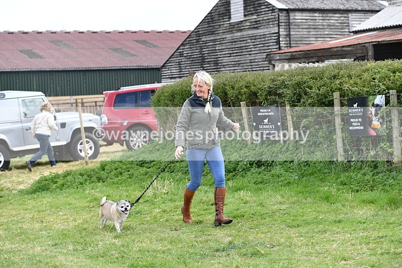 WJ5_0085 - Class 5 Best Veteran / 7 years & over