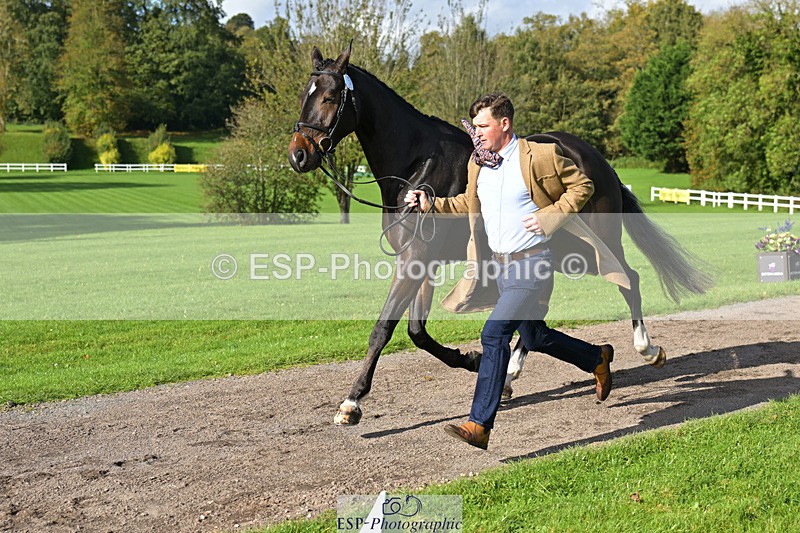 241023-130902-00100 - 005-Matthew.Heath-DIEGOS.ROSE