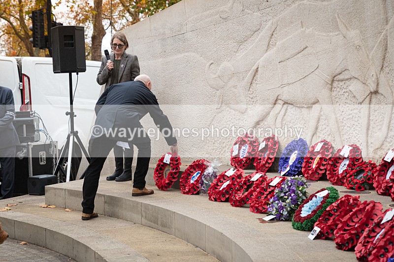 Z62_4675 - Animals In War Memorial 2025 - Park Lane, London