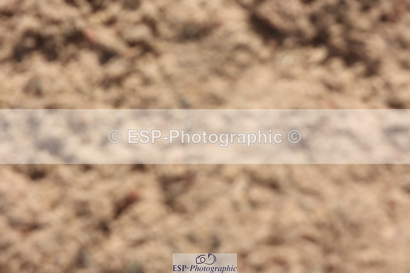 240629A-091943-02917 - Cls 16 British Novice and 80cm Open