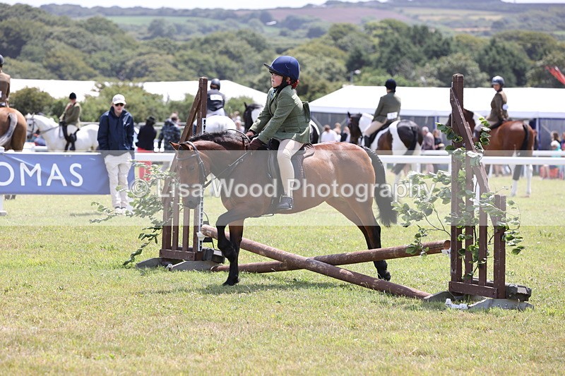JPP_1811 - Class 18: Tiny Tots Working Hunter Pony