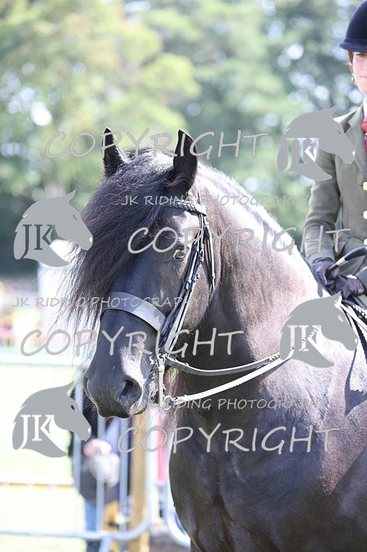 APP_3696 - Class 12 M&M ridden