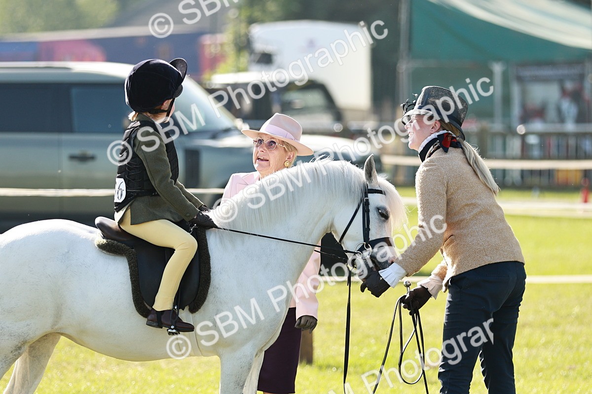 SBM_11229 - Class 106-107 - BSPS LIHS Working Sports Pony
