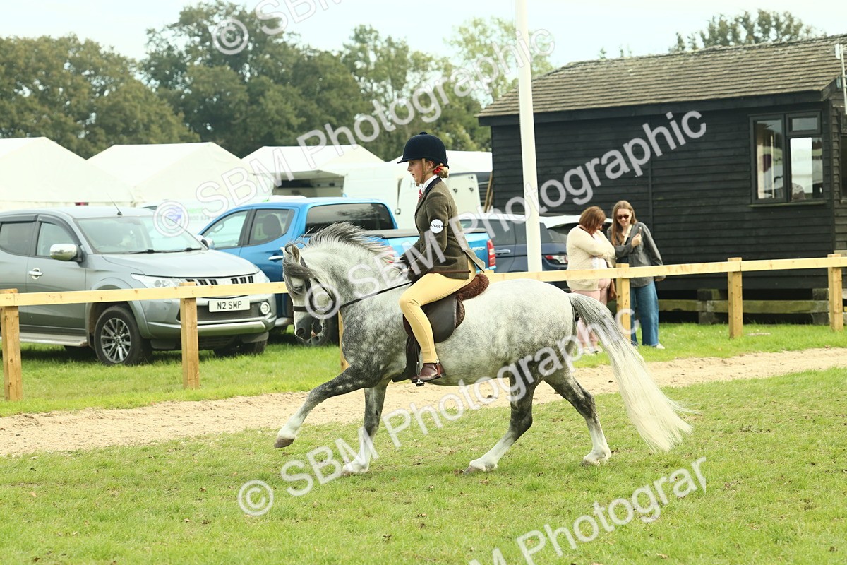 SBM_69869 - S59 - Mountain & Moorland Ridden Small Breeds