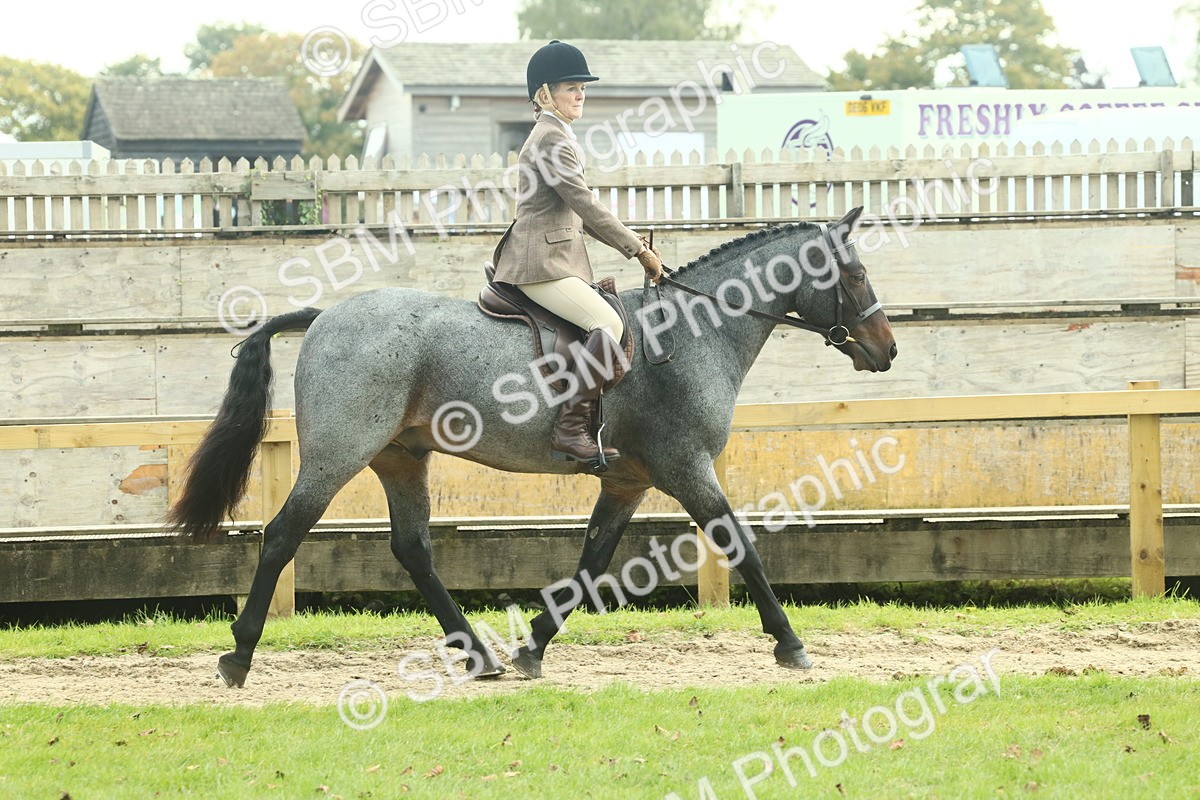 SBM_62581 - S63 - Other Coloured Horse Ridden
