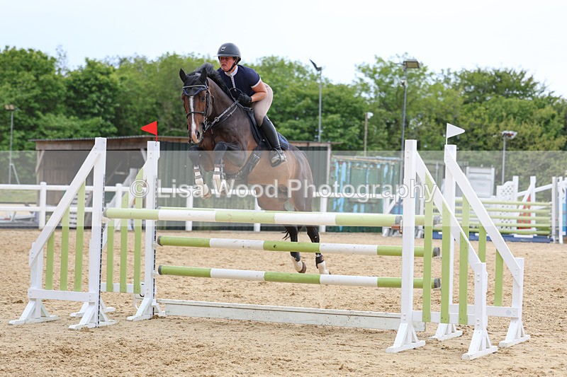 3E7A7913 - Class 8: Senior Foxhunter/1.20 open