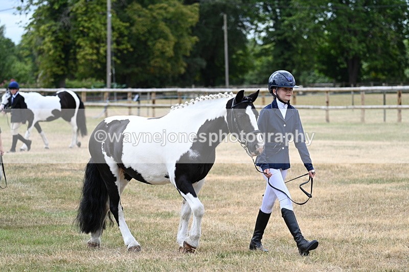 WJ7_1437 - Class 4 Prettiest Mare up to 14.2hh in hand