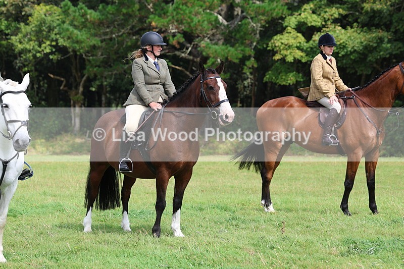 3E7A5901 - Class 26 and 27: 70cm Working Hunter