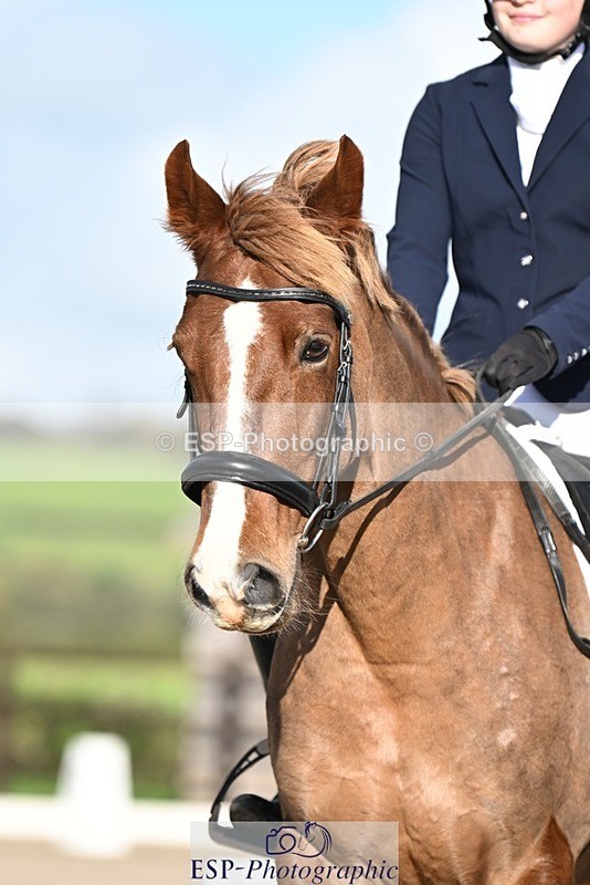 231105-125050-01736 - Cls 2 Prelim 7 12.41 to End