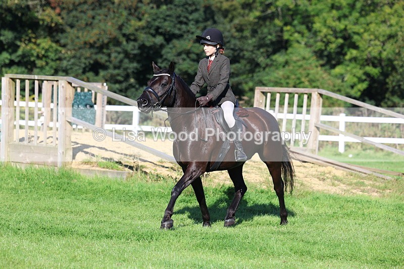 3E7A7639 - Class 1: Novice Working Hunter Pony