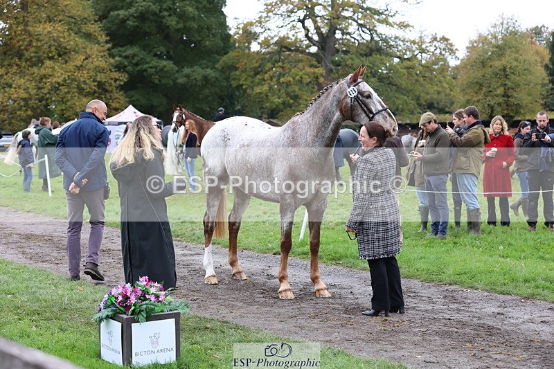 251026A-113232-25510 - F-426-Tracey.Neville