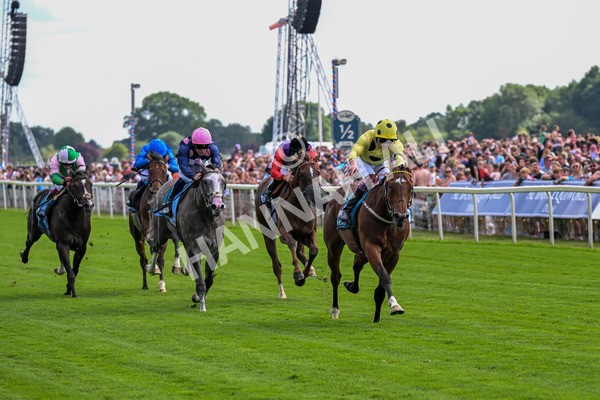 280625-Race 4-Hankelow-0316 - Race 4 3.40pm Al Basti Equiworld Dubai Novice Stakes
