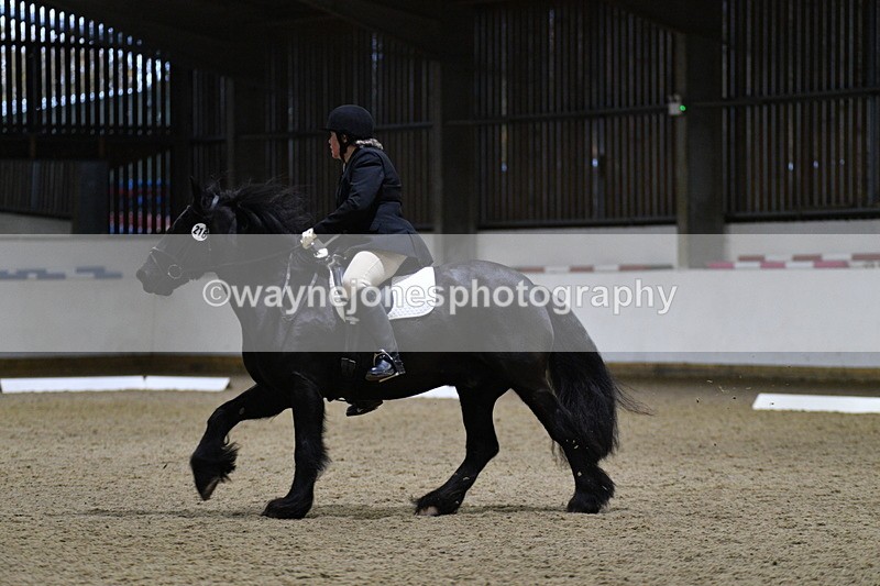 WJ5_8539 - Class 5 Novice Test 3