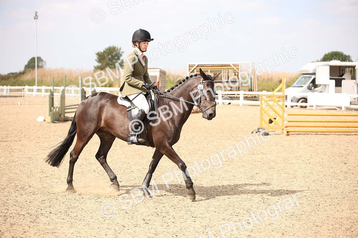 SBM_14960 - Class 408a - Working Veteran 70cm (15-19