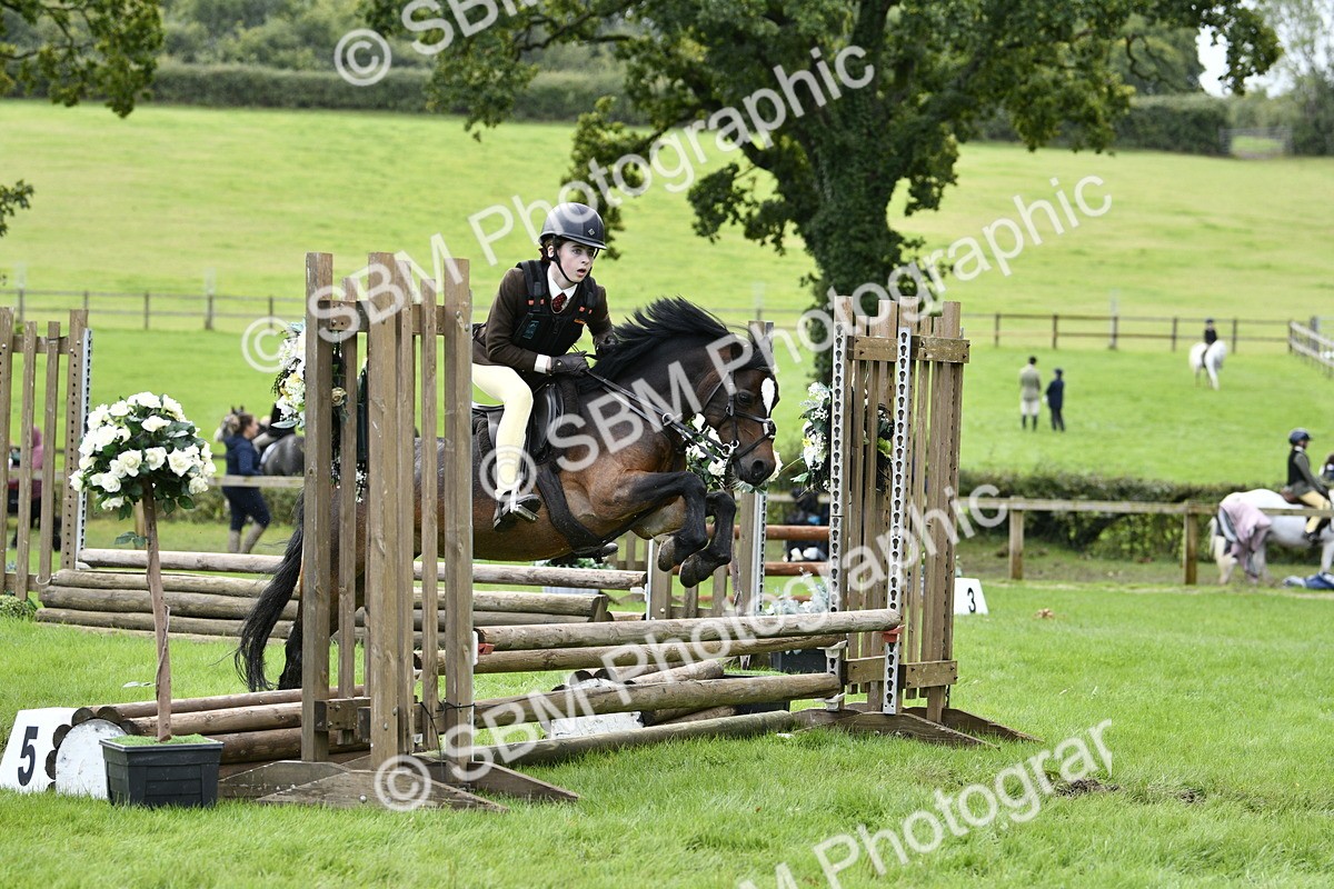 SBM_41266 - S32 - Mountain & Moorland Working Hunter Pony