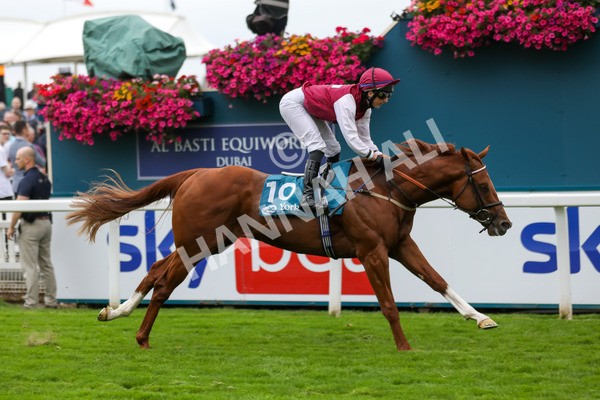 230823-Race 7-Zoulu Chief-4618 - Race 7 5.20pm Sky Bet Nursery Handicap