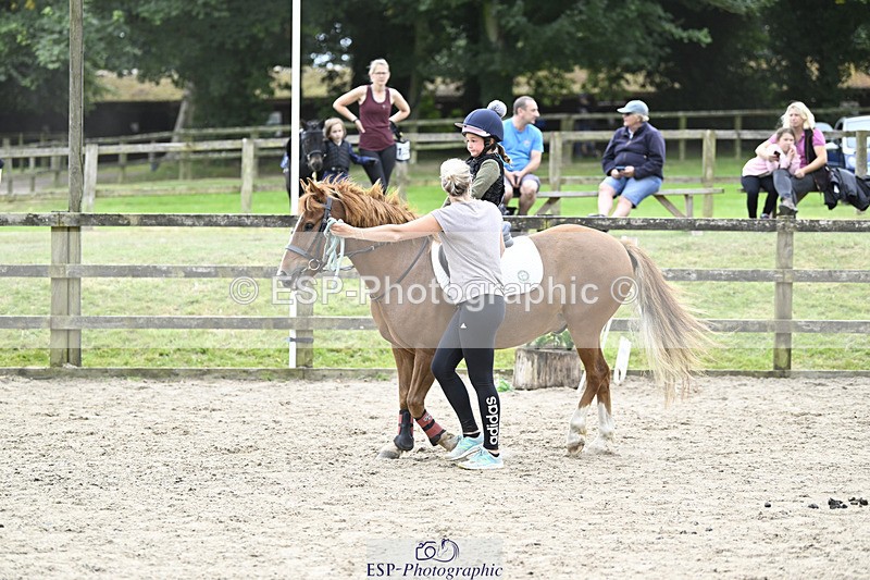 240822X-134820-08526 - 40cm LR R2 13.00 to 15.00