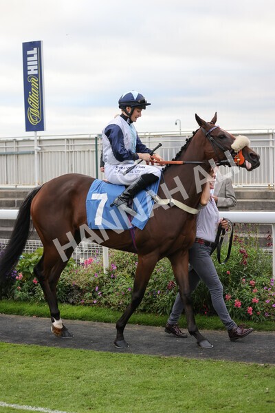 yr24092021r8-6 - Race 8 5.25pm William Hill Build Your Own Odds Apprentice Stakes