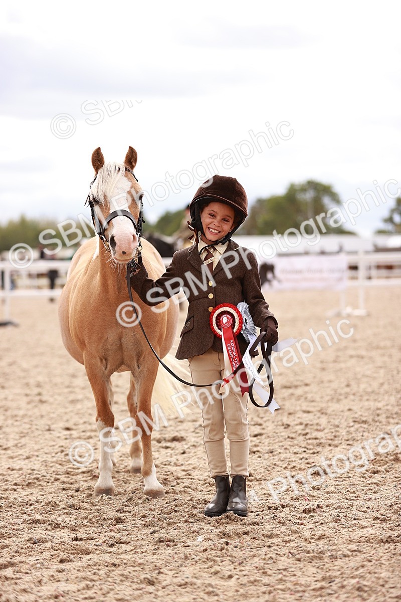 SBM_18261 - Class 416 - Prettiest Mare (IH or Ridden)Jnr