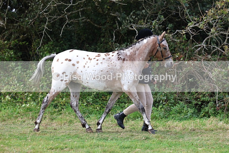 3E7A5355 - Class 19: Best Coloured in Hand