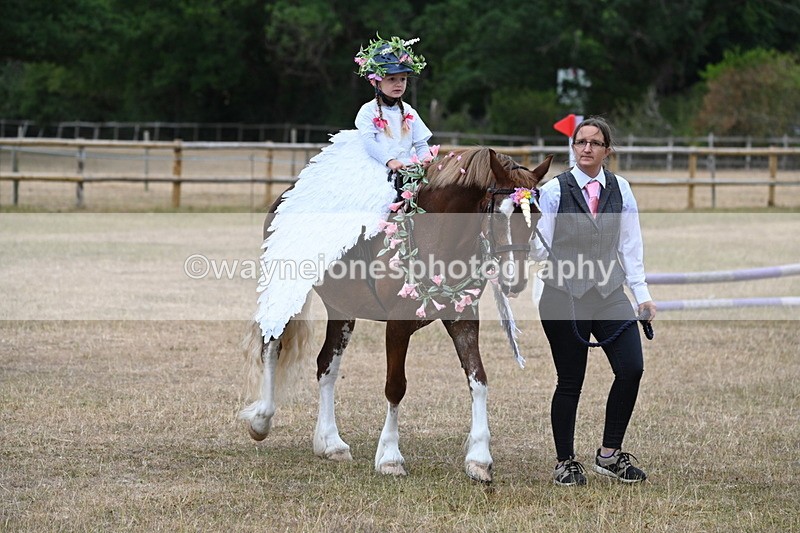 WJ6_8604 - Class 11 Fancy Dress