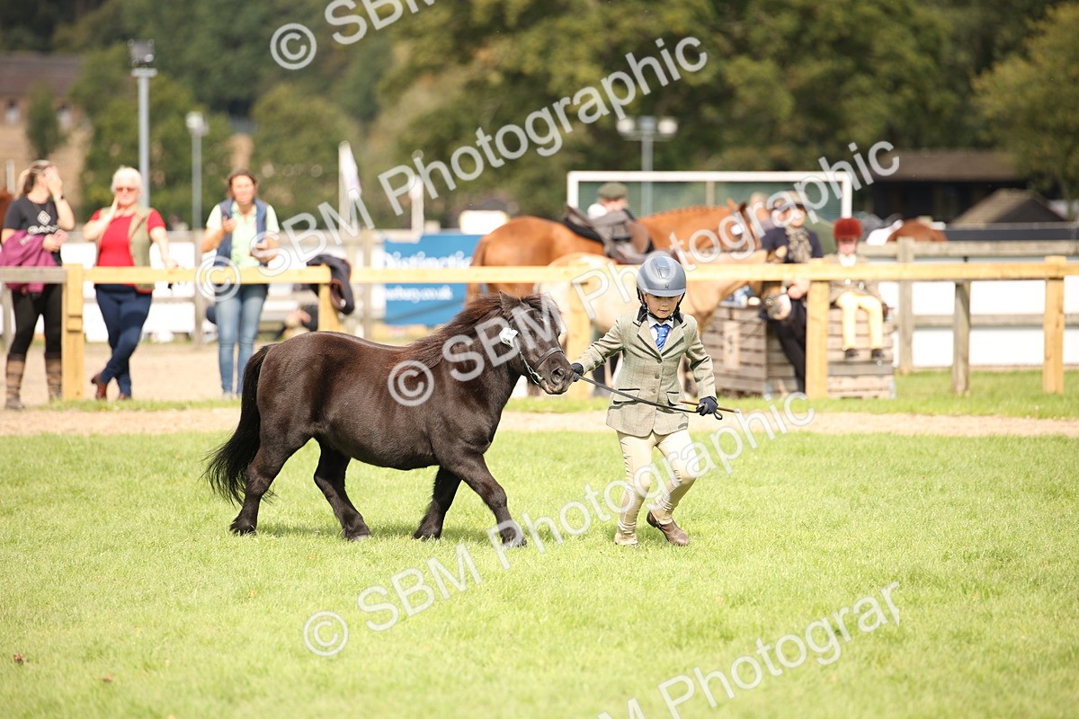 SBM_46354 - S25 - Mature Veteran In Hand