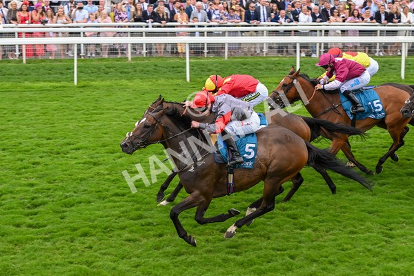 270724-Race 5-Theme Park-7425 - Race 5 4.35pm Sky Bet Prize Drop Handicap