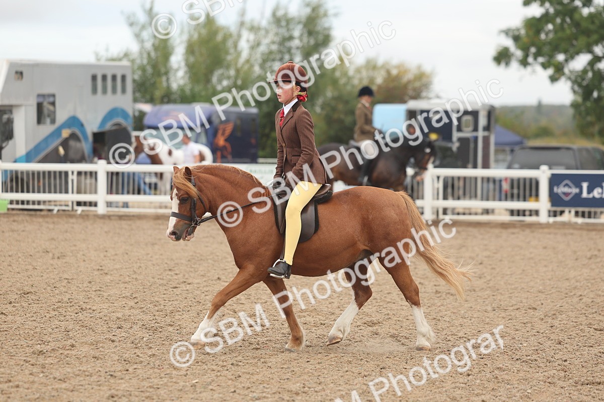 SBM_01903 - Class 14 - Ridden M&M Wildcard