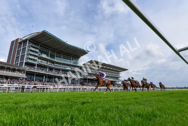 150524-Race 4-Secret Satire-5533 - Race 4 3.45pm Tattersalls Musidora Stakes