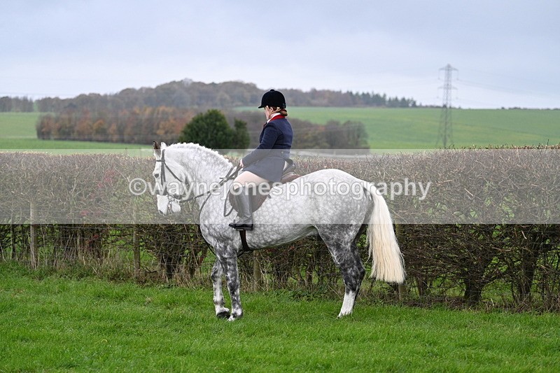 WJ7_8847 - Meet Staff & Hounds