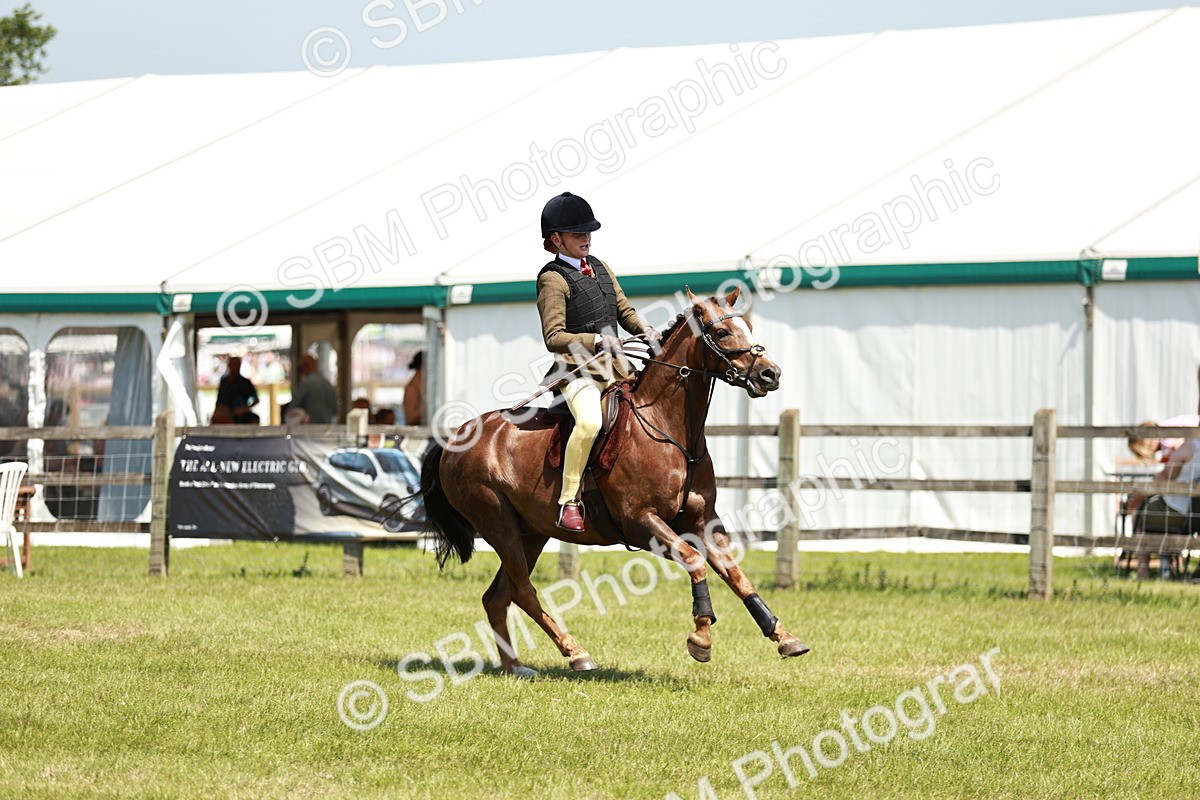 SBM_15570 - Class 108-109 - BSPS LIHS Open Gradle & Nursery Stakes
