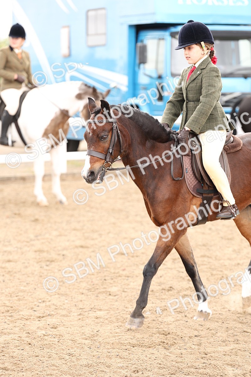 SBM_02892 - Class 53 - Ridden Competition Horse/Pony