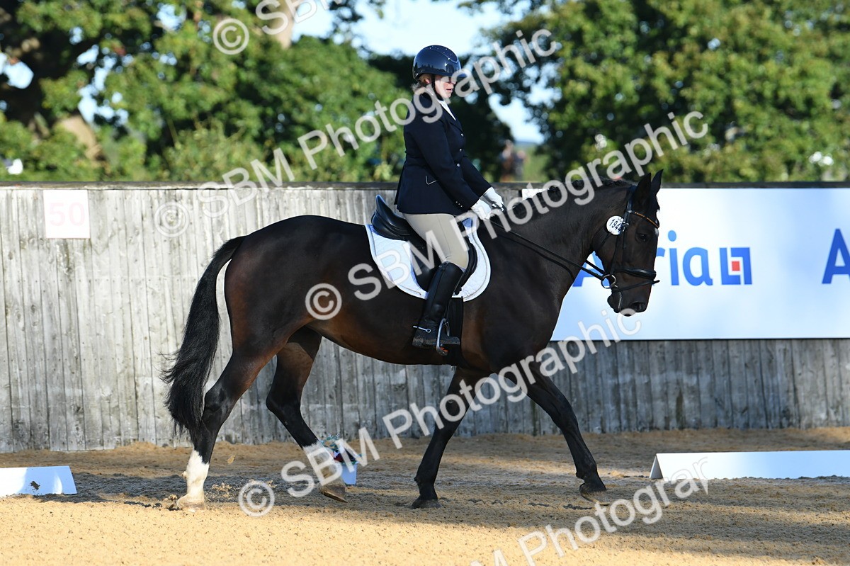 SBM_14374 - D4 - Small Tour Championship - Intro B