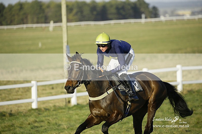 PtP 270222 620 - South & West Wilts Point-to-Point Larkhill 27/02/22