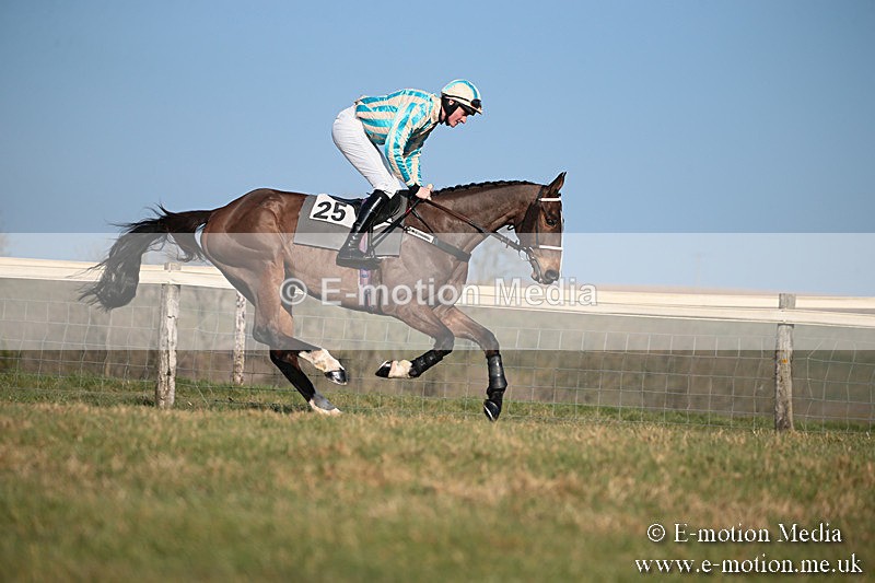 PtP 230219 384 - Vine & Craven Point-To-Point - Barbury 23/02/19
