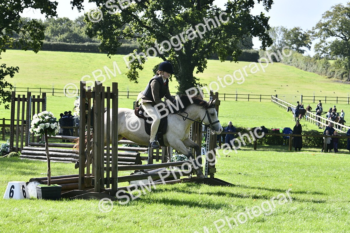 SBM_38201 - S31 - Novice & Newcomer Working Hunter Pony