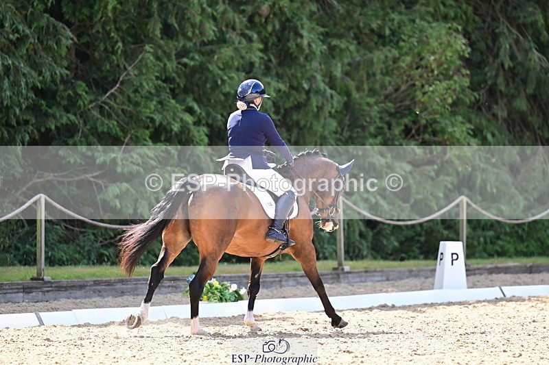 260731A-110943-00237 - Elementary Bronze 10.30 - Break