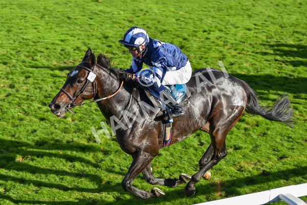 141023-Race 5-Certain Lad-1351 - Race 5 3.35pm Coral Racing Bet Bundles Handicap