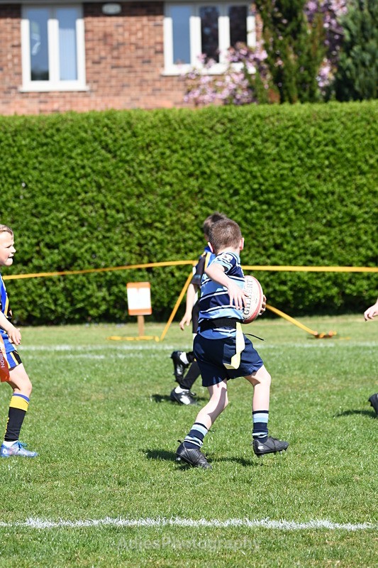  - Selby Rugby Festival 2025