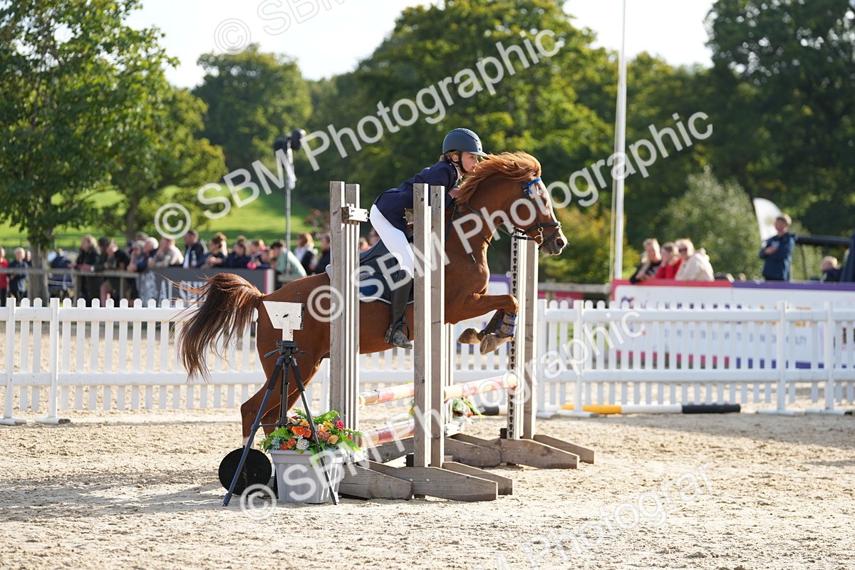 SBM_51154 - J8 - Junior Pony 65cm Championship